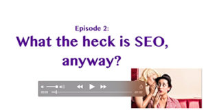 02_What-the-heck-is-SEO-anyway-SEO-Video-300x163 What the heck is SEO anyway SEO Video  