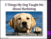 5 Things My Dog Taught Me About Marketing_cover_feature image