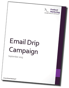 Email-Drip-Campaign-ebook-cover_sm-236x300 Email Drip Campaign ebook cover_sm  