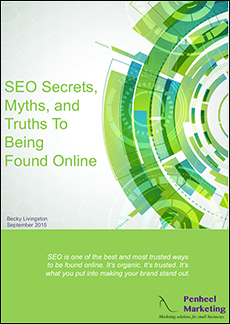 SEO Secrets Myths and Truths to Being Found Online eBook