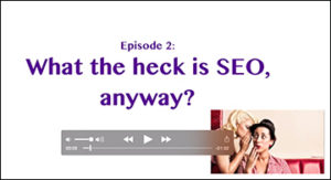 02_What-the-heck-is-SEO-anyway-SEO-Video-300x163 What the heck is SEO anyway SEO Video  