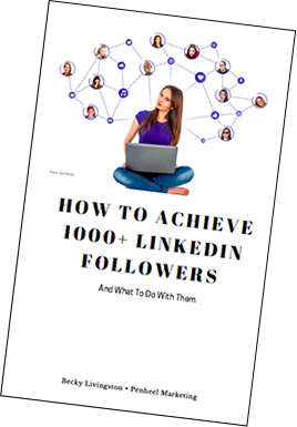 how to achieve 1000 linkedin followers ebook cover