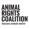 animal-rights-coalition-100x100 Testimonials  