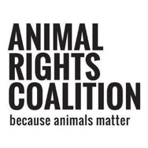 animal-rights-coalition-300x300 animal rights coalition  