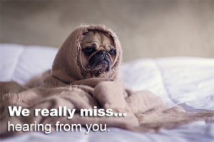 we-miss-hearing-from-you-pug-email-300x199 we miss hearing from you pug email  