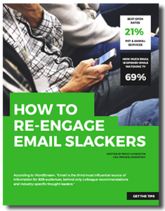 How-to-Re-Engage-Email-Slackers-cover-235x300 How to Re-Engage Email Slackers 
